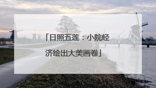 日照五莲：小院经济绘出大美画卷