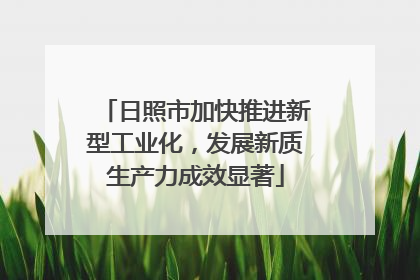 日照市加快推进新型工业化，发展新质生产力成效显著