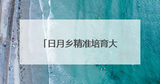 日月乡精准培育大学生村党支部书记
