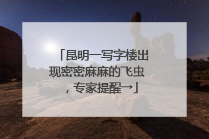 昆明一写字楼出现密密麻麻的飞虫，专家提醒→