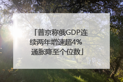 普京称俄GDP连续两年增速超4% 通胀降至个位数
