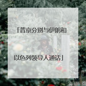 普京分别与伊朗和以色列领导人通话