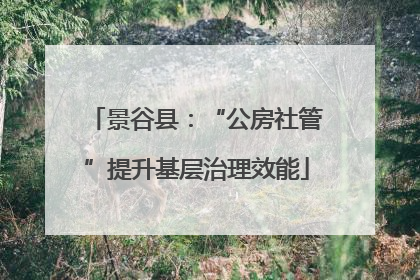 景谷县：“公房社管”提升基层治理效能