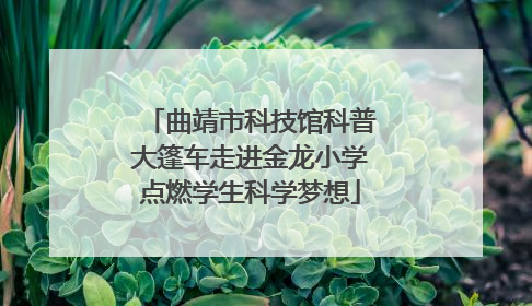 曲靖市科技馆科普大篷车走进金龙小学点燃学生科学梦想