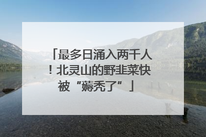 最多日涌入两千人！北灵山的野韭菜快被“薅秃了”