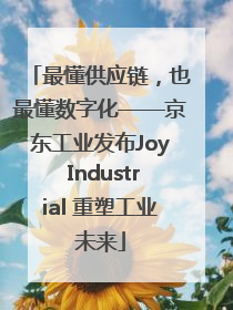 最懂供应链，也最懂数字化——京东工业发布Joy Industrial 重塑工业未来