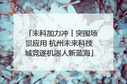 未科加力冲丨突围场景应用 杭州未来科技城竞逐机器人新蓝海