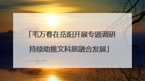 毛万春在岳阳开展专题调研 持续助推文科旅融合发展