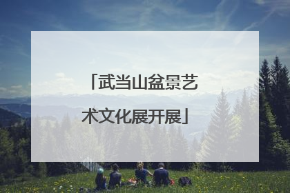 武当山盆景艺术文化展开展