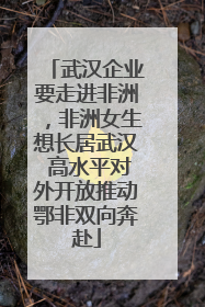 武汉企业要走进非洲，非洲女生想长居武汉 高水平对外开放推动鄂非双向奔赴
