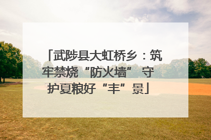 武陟县大虹桥乡：筑牢禁烧“防火墙” 守护夏粮好“丰”景
