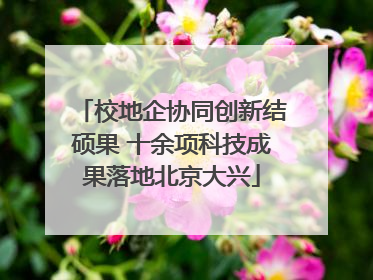 校地企协同创新结硕果 十余项科技成果落地北京大兴