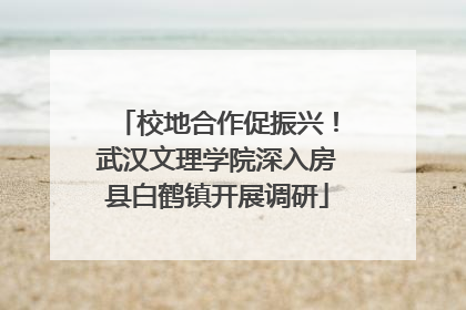 校地合作促振兴！武汉文理学院深入房县白鹤镇开展调研
