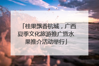 桂果飘香杭城，广西夏季文化旅游推广暨水果推介活动举行