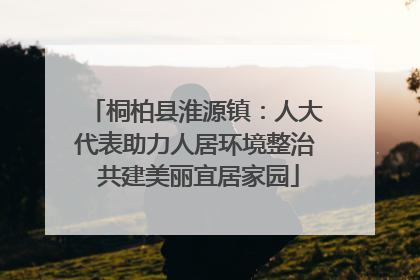 桐柏县淮源镇：人大代表助力人居环境整治 共建美丽宜居家园