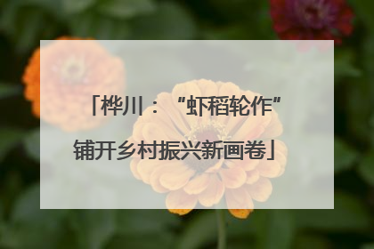 桦川：“虾稻轮作”铺开乡村振兴新画卷