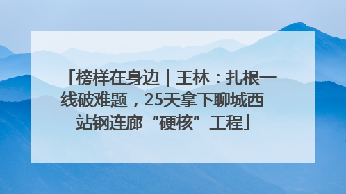 榜样在身边｜王林：扎根一线破难题，25天拿下聊城西站钢连廊“硬核”工程
