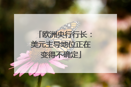 欧洲央行行长：美元主导地位正在变得不确定