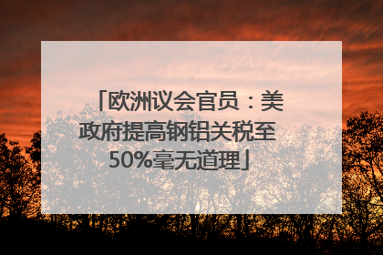 欧洲议会官员：美政府提高钢铝关税至50%毫无道理