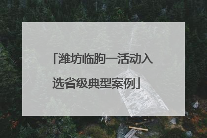 潍坊临朐一活动入选省级典型案例