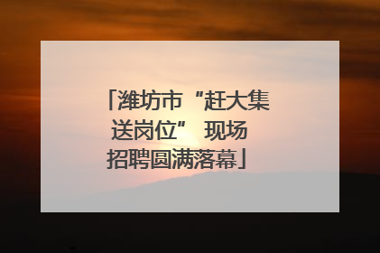 潍坊市“赶大集 送岗位” 现场招聘圆满落幕