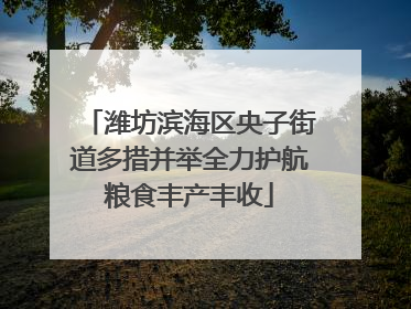 潍坊滨海区央子街道多措并举全力护航粮食丰产丰收