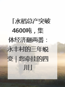 水稻总产突破4600吨，集体经济翻两番：永丰村的三年蜕变｜您牵挂的四川