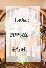 永城：抗旱保苗进行时