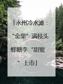 永州冷水滩：“金果”满枝头 蜂糖李“甜蜜”上市