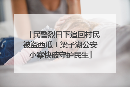 民警烈日下追回村民被盗西瓜！梁子湖公安小案快破守护民生