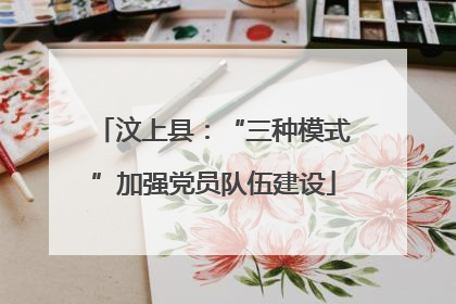 汶上县：“三种模式”加强党员队伍建设