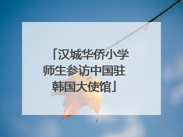 汉城华侨小学师生参访中国驻韩国大使馆