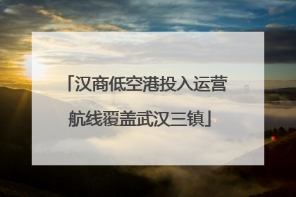 汉商低空港投入运营 航线覆盖武汉三镇