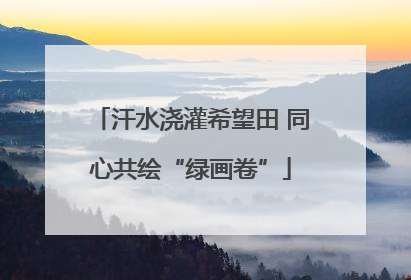 汗水浇灌希望田 同心共绘“绿画卷”