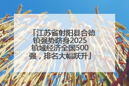 江苏省射阳县合德镇强势跻身2025镇域经济全国500强，排名大幅跃升