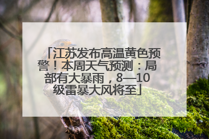 江苏发布高温黄色预警！本周天气预测：局部有大暴雨，8—10级雷暴大风将至