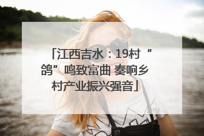 江西吉水：19村“鸽”鸣致富曲 奏响乡村产业振兴强音