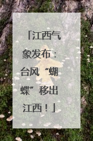 江西气象发布：台风“蝴蝶”移出江西！