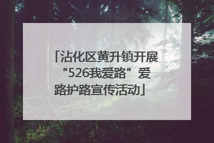 沾化区黄升镇开展“526我爱路”爱路护路宣传活动