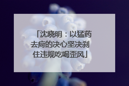 沈晓明：以猛药去疴的决心坚决刹住违规吃喝歪风