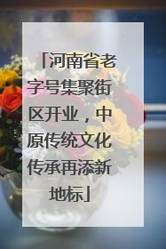 河南省老字号集聚街区开业，中原传统文化传承再添新地标