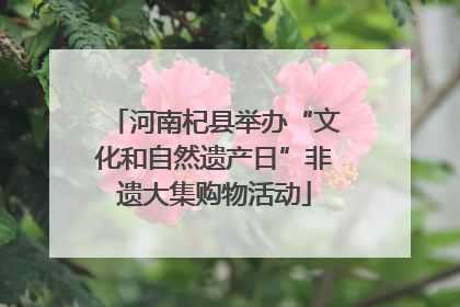 河南杞县举办“文化和自然遗产日”非遗大集购物活动