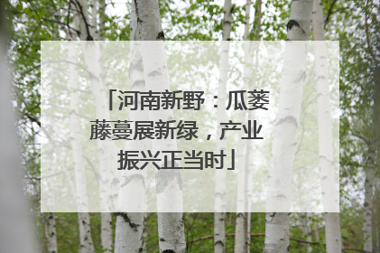 河南新野：瓜蒌藤蔓展新绿，产业振兴正当时