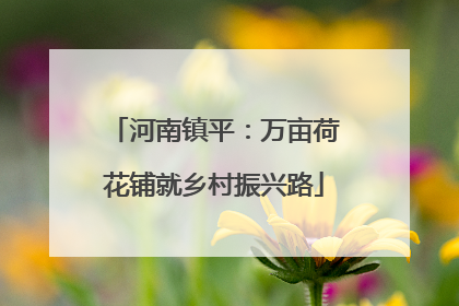 河南镇平：万亩荷花铺就乡村振兴路