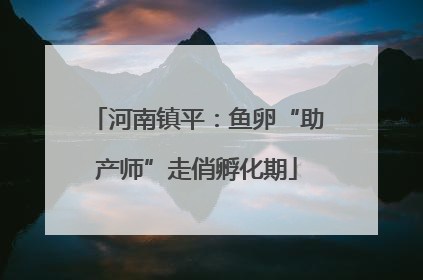 河南镇平：鱼卵“助产师”走俏孵化期