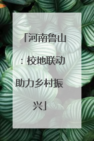 河南鲁山：校地联动助力乡村振兴