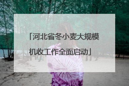 河北省冬小麦大规模机收工作全面启动