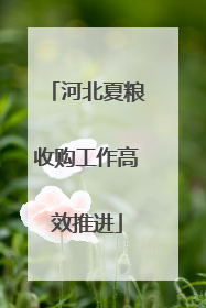 河北夏粮收购工作高效推进