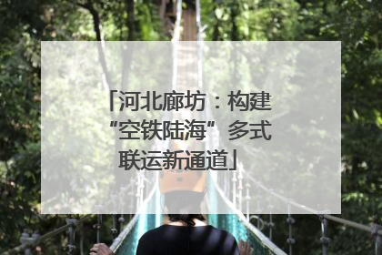 河北廊坊：构建“空铁陆海”多式联运新通道
