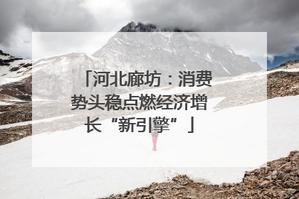 河北廊坊：消费势头稳点燃经济增长“新引擎”